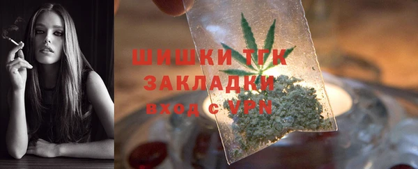 тгк Инсар