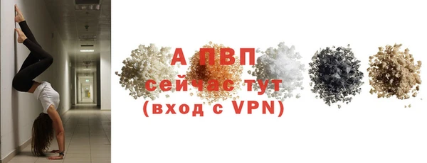тгк Инсар