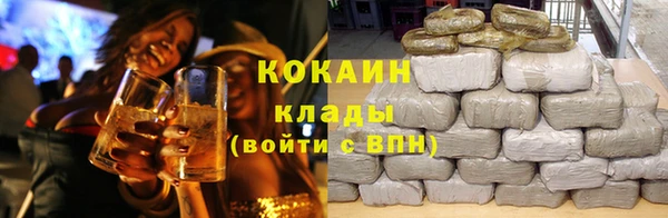 тгк Инсар