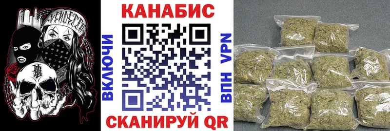Бошки Шишки SATIVA & INDICA  продажа наркотиков  Дубовка 